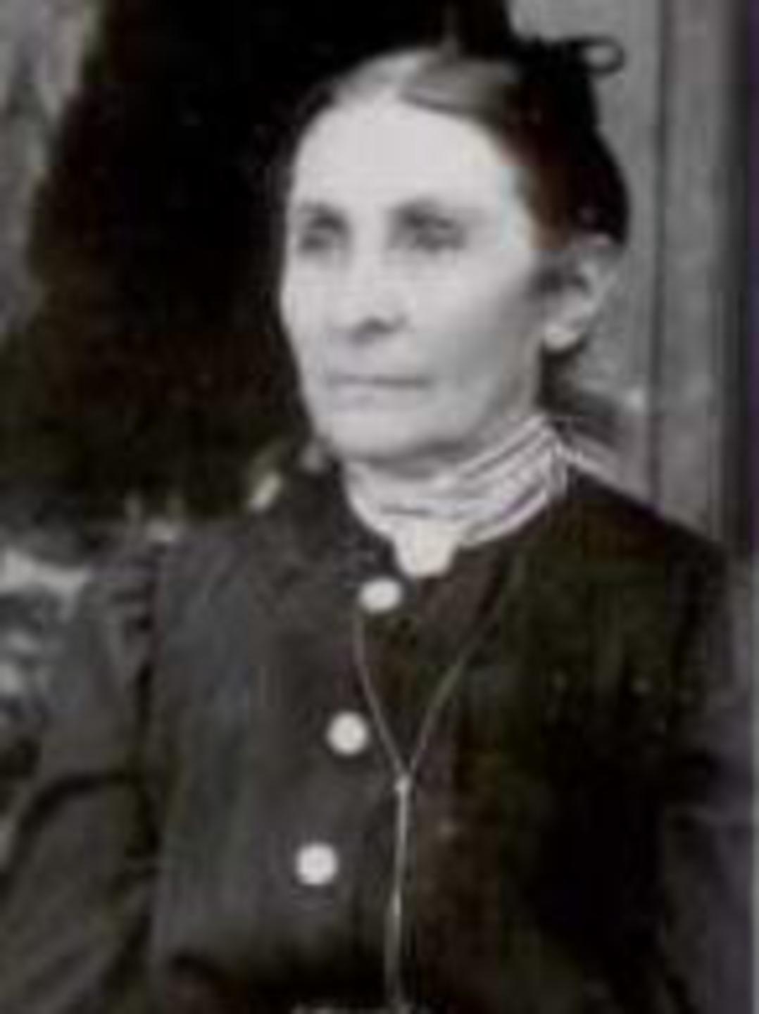 Amanda Ellen Perkins (1838 - 1915) Profile
